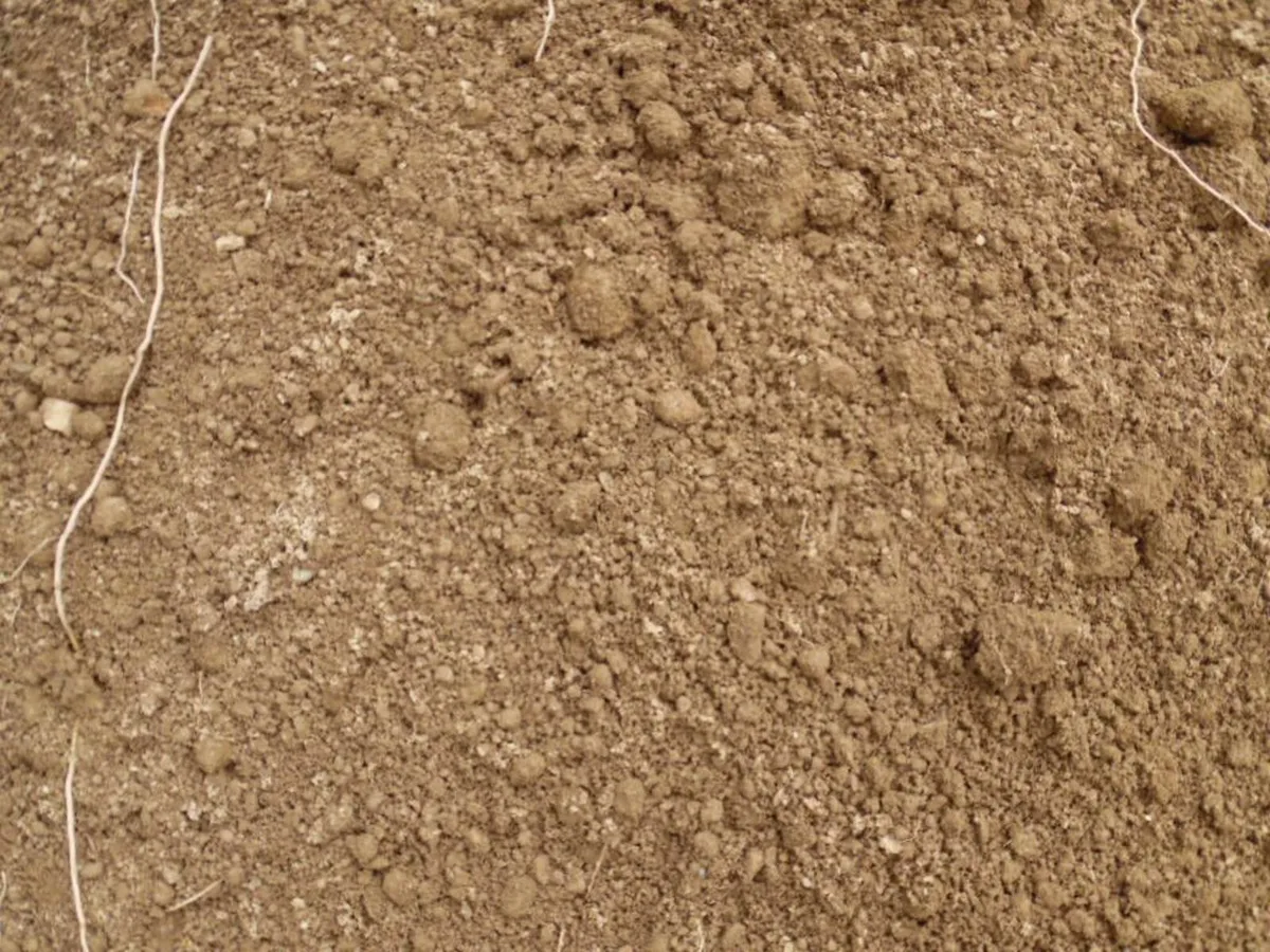 screened top soil vgq - Image 3