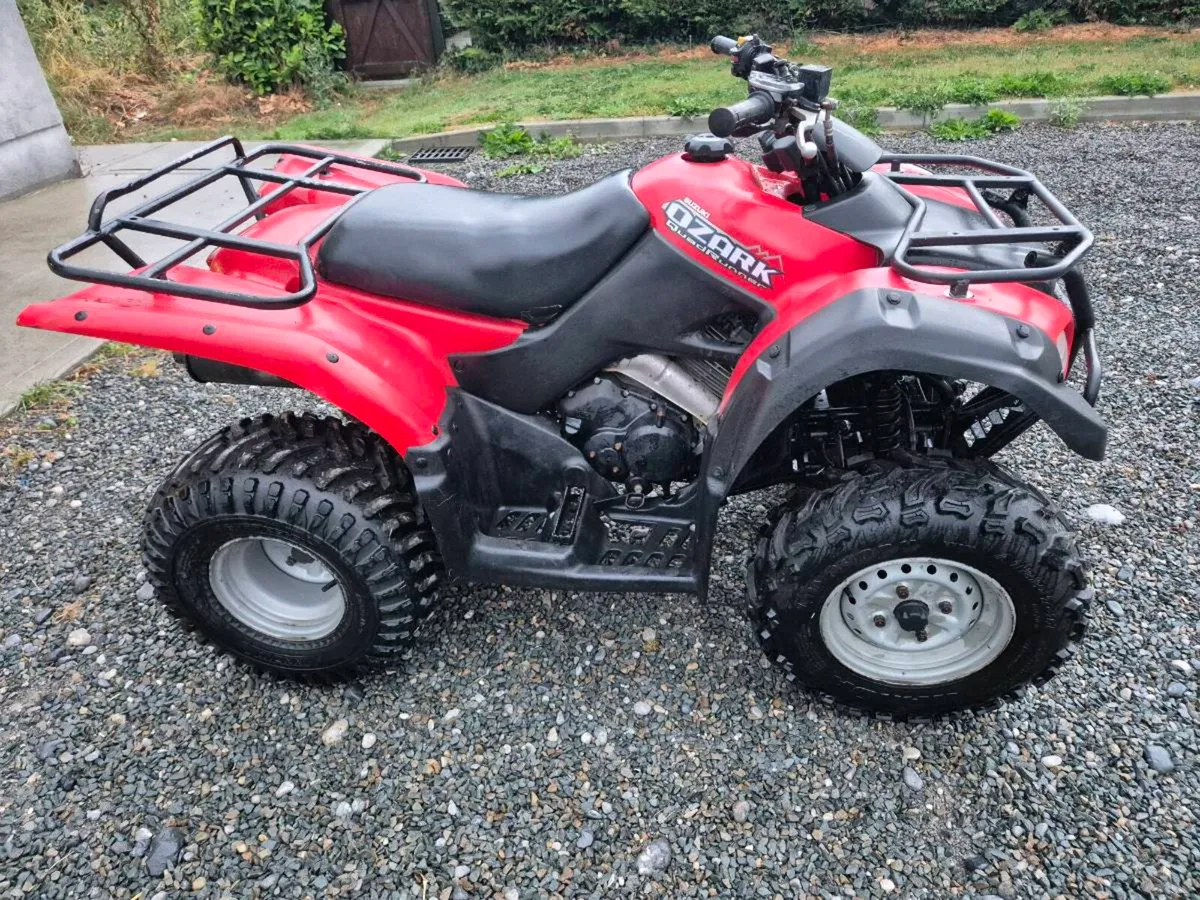 Suzuki Ozark 250 - Image 1