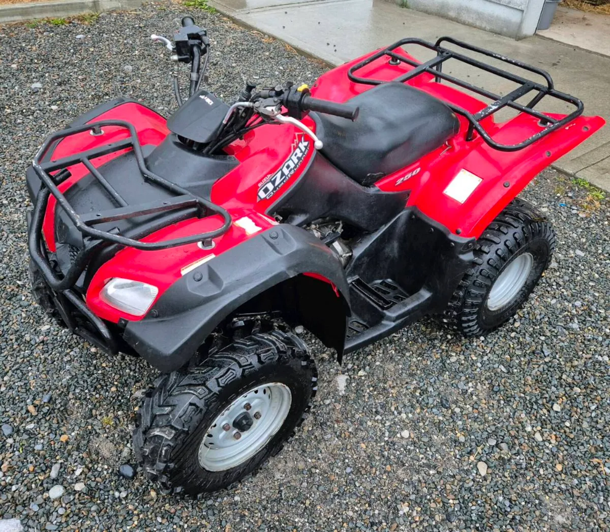 Suzuki Ozark 250 - Image 4