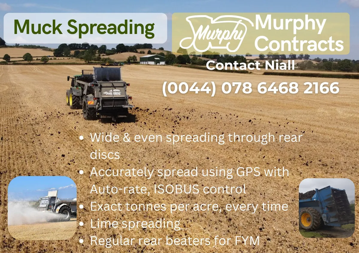 Maize Silage - Image 2