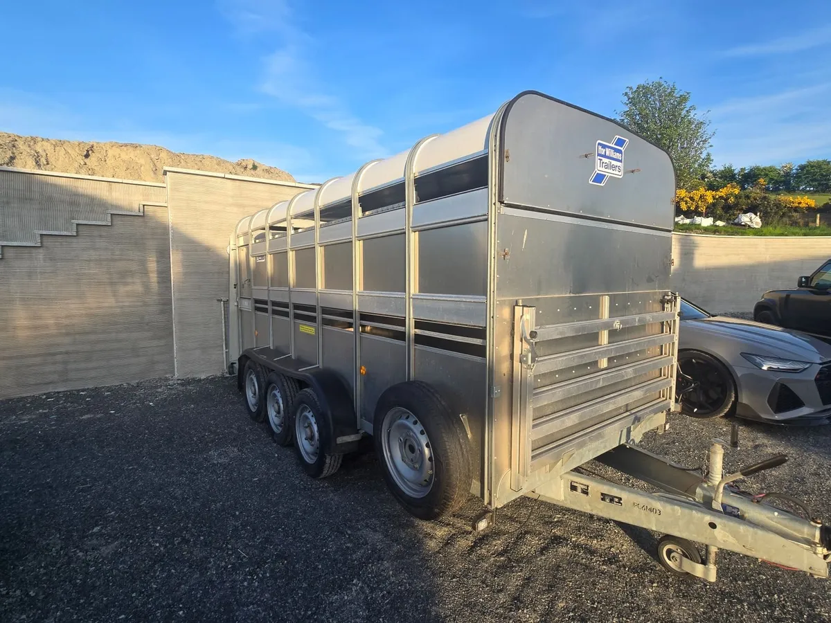 Iforwilliam trailer sheep cows - Image 2
