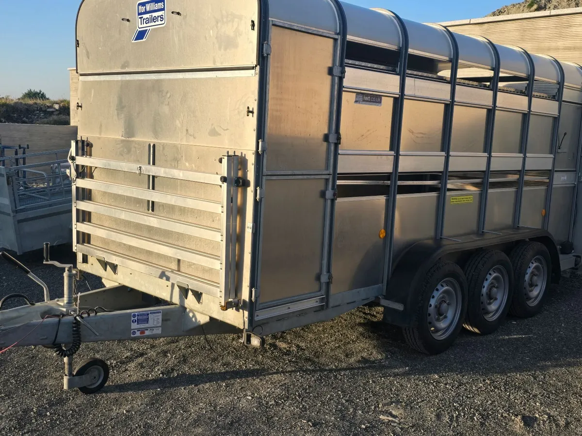 Iforwilliam trailer sheep cows - Image 3
