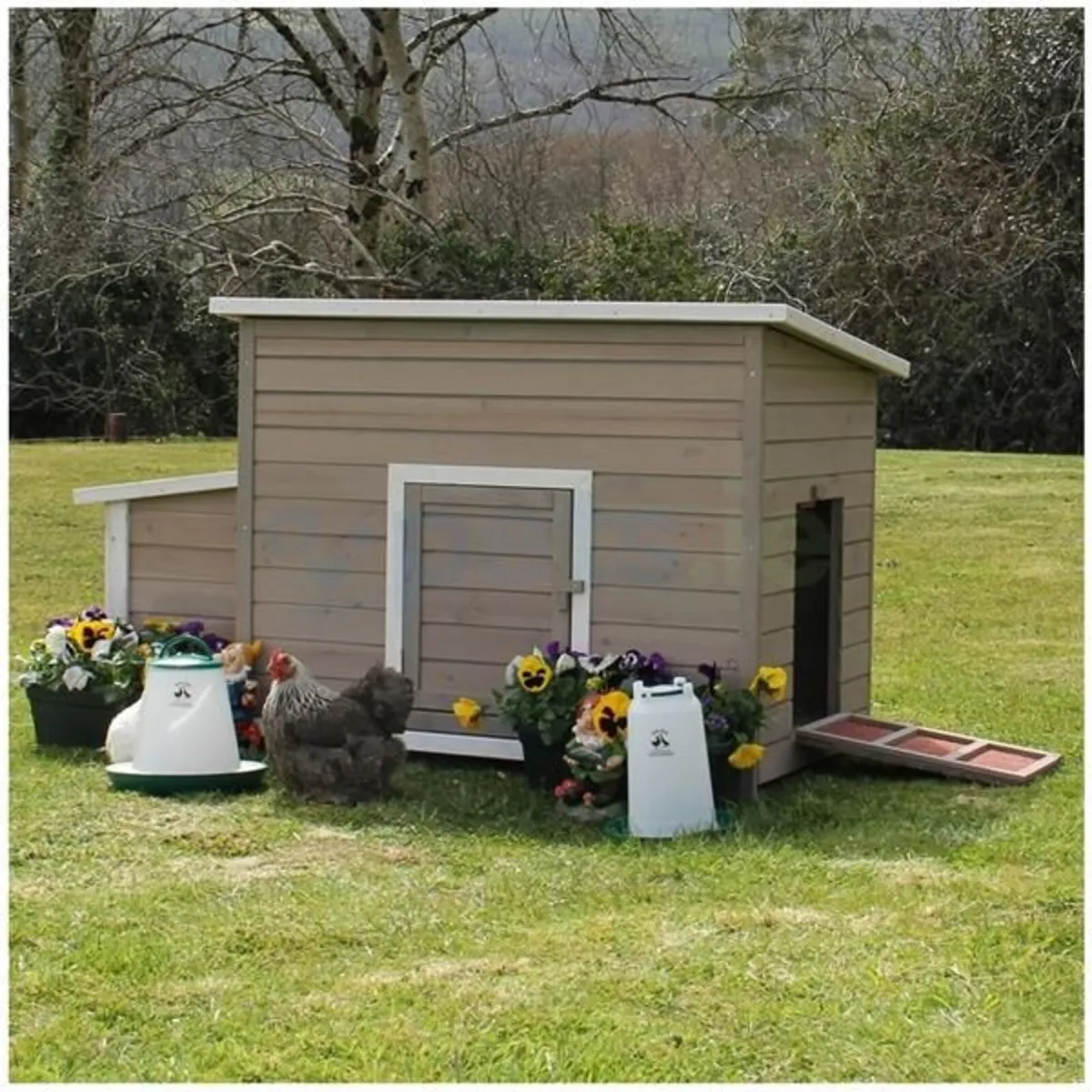 Chicken Coop Run - Image 1