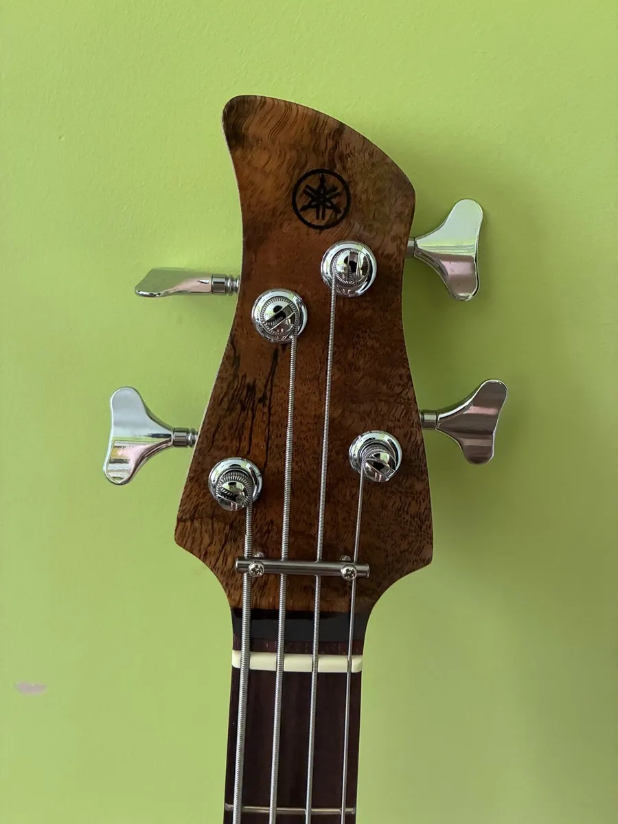 Yamaha TRBX174 EW Bass Guitar/ fender rumble 25 - Image 3