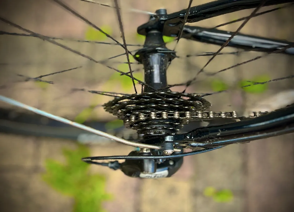 Frog bike - Image 2
