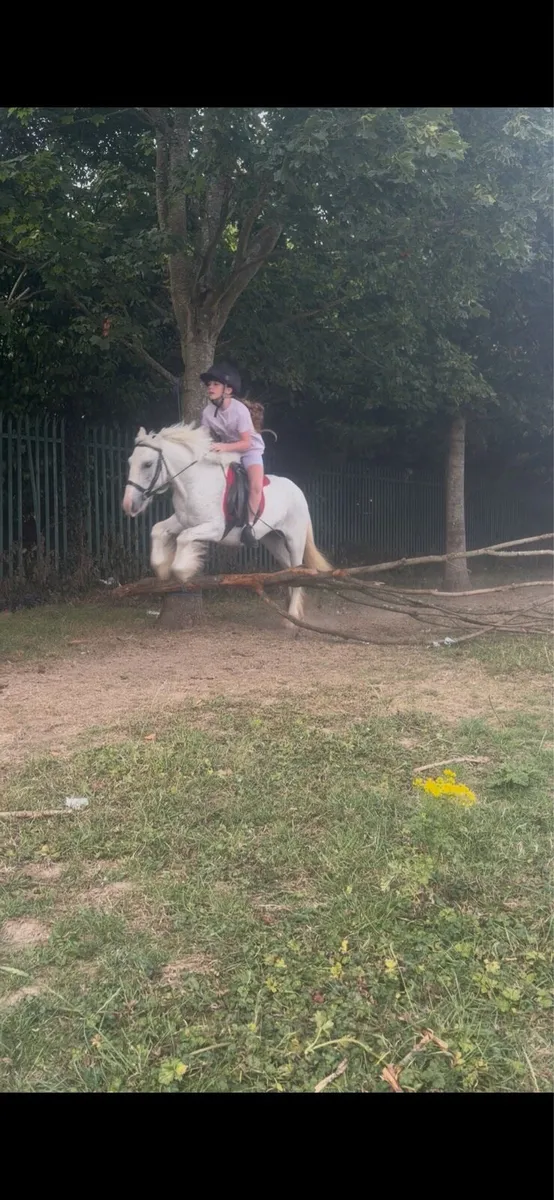 Pony - Image 2