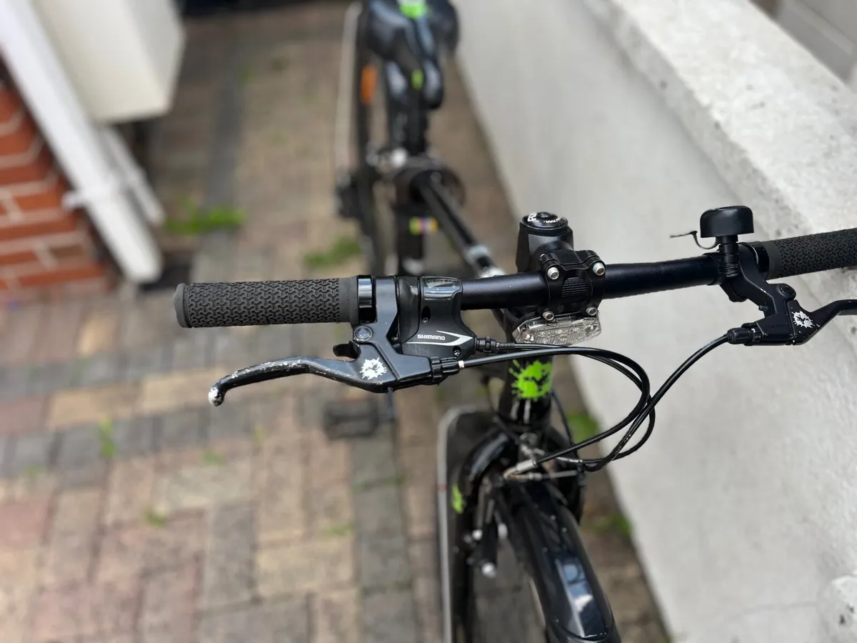 Frog bike - Image 3
