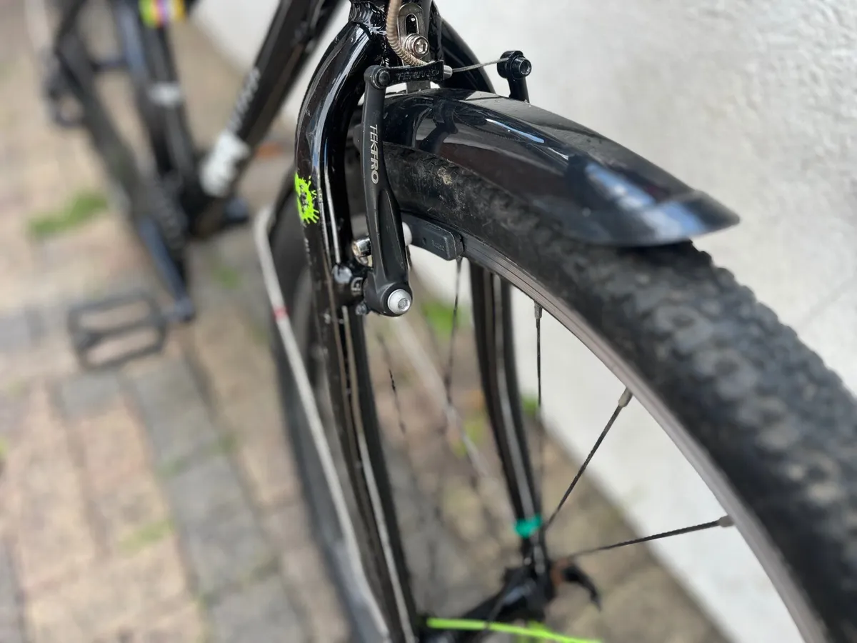 Frog bike - Image 4
