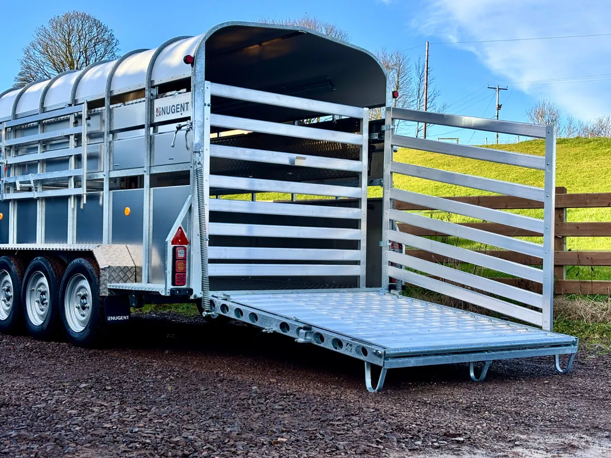 14 x 6 Tri axle cattle trailer - Image 4
