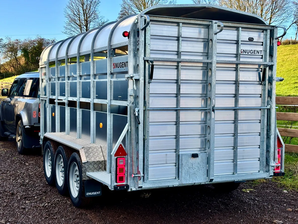 14 x 6 Tri axle cattle trailer - Image 3