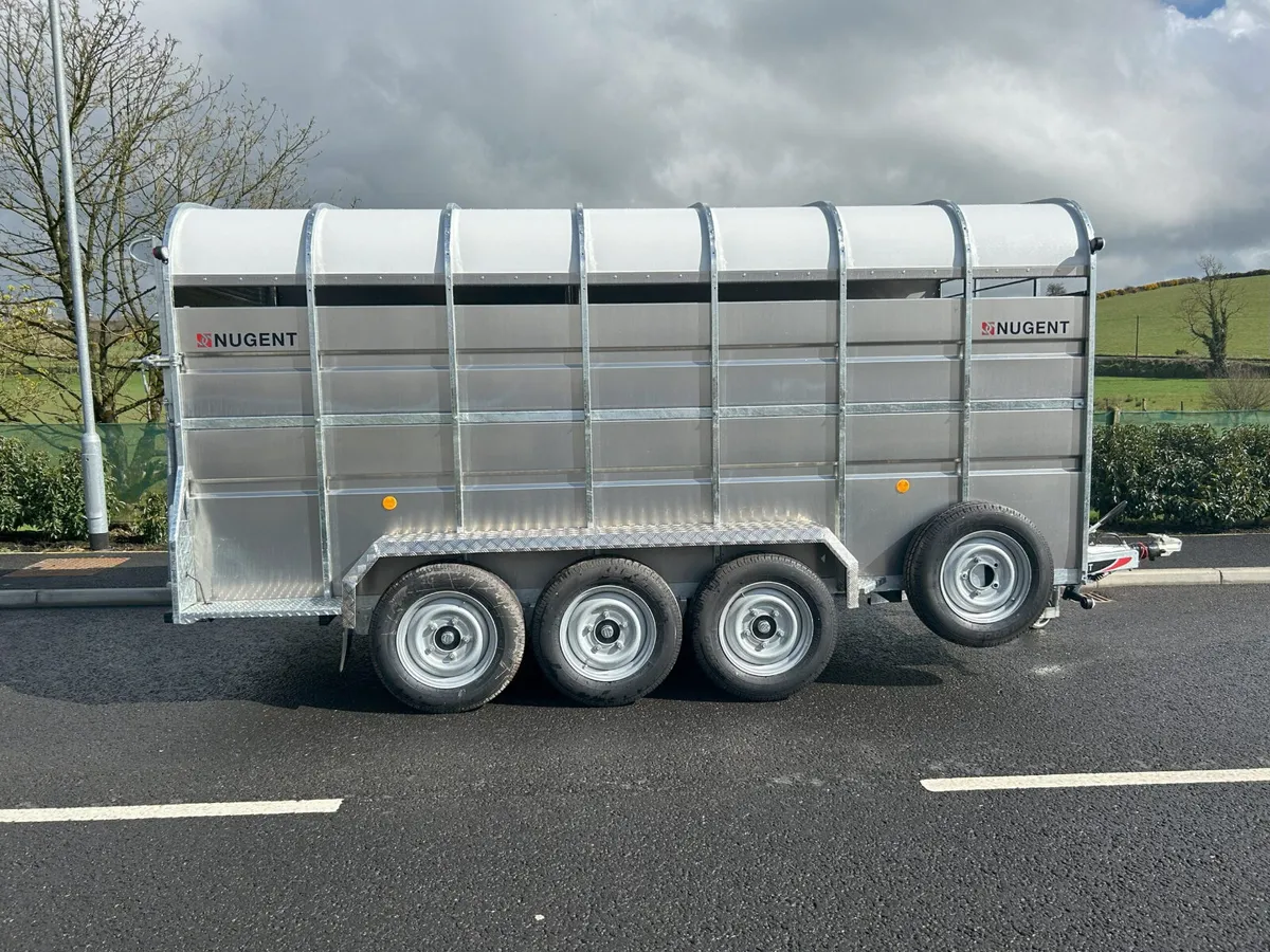 14 x 6 Tri axle cattle trailer - Image 2