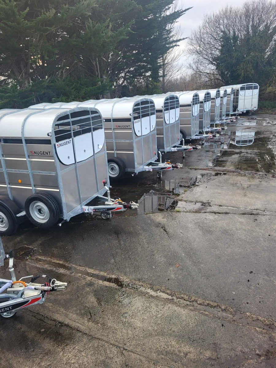 14 x 6 Tri axle cattle trailer - Image 1