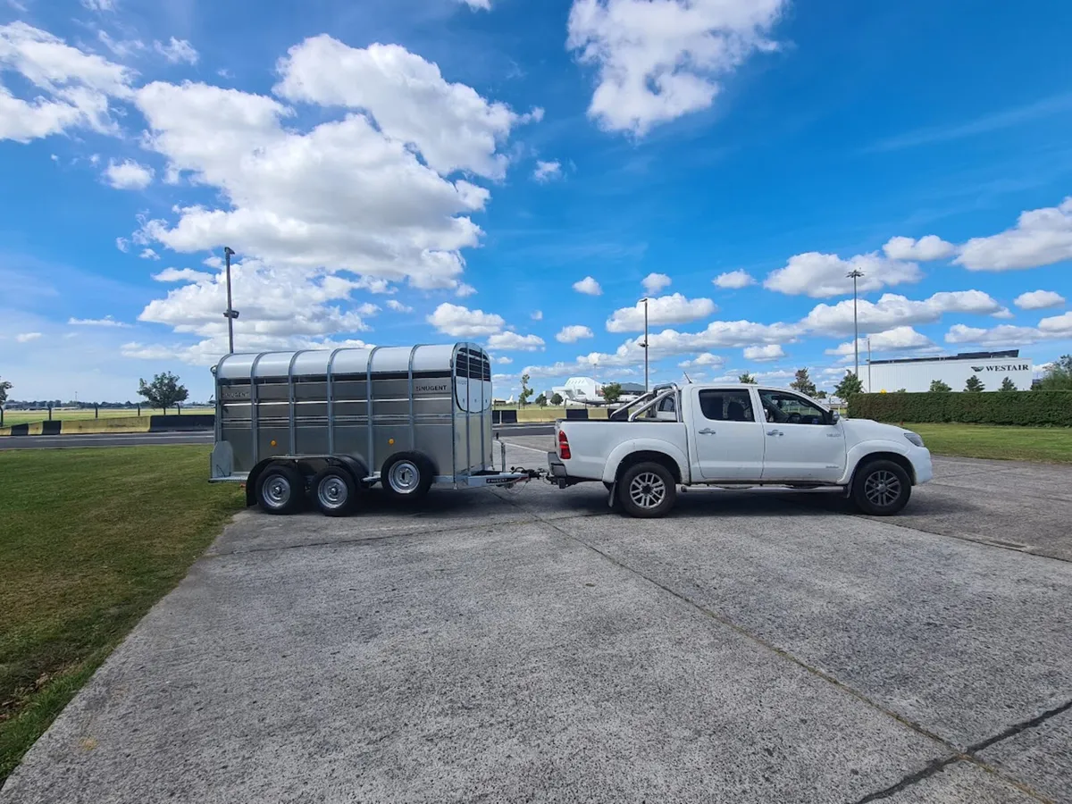 12 x6 Cattle Trailer - Image 2