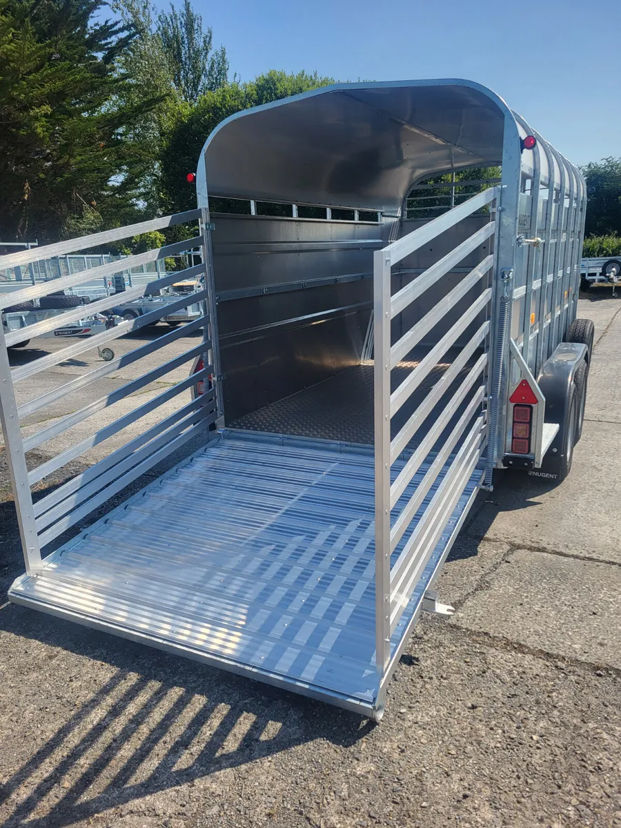 12 x6 Cattle Trailer - Image 4