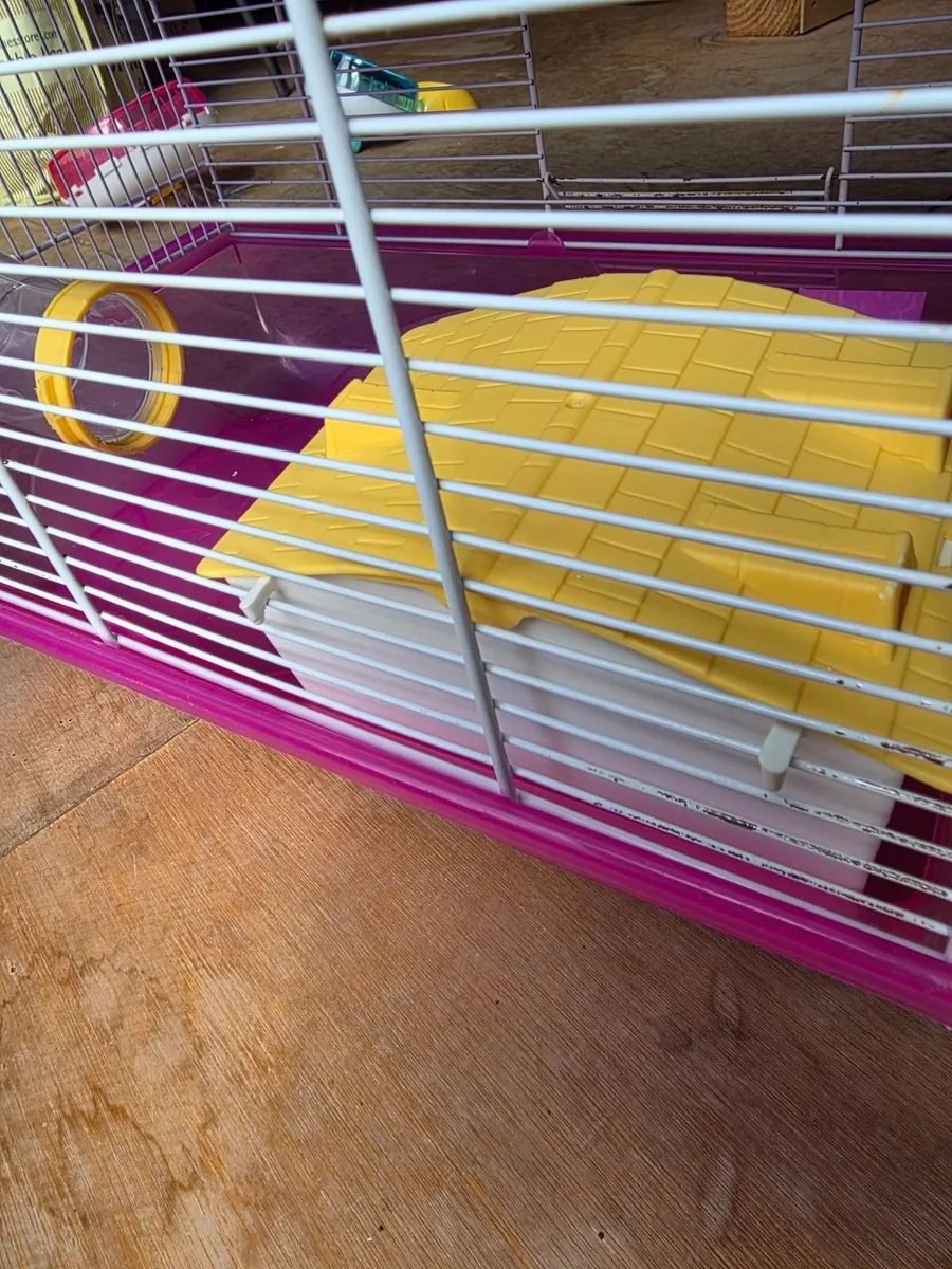 hamster cage - Image 3