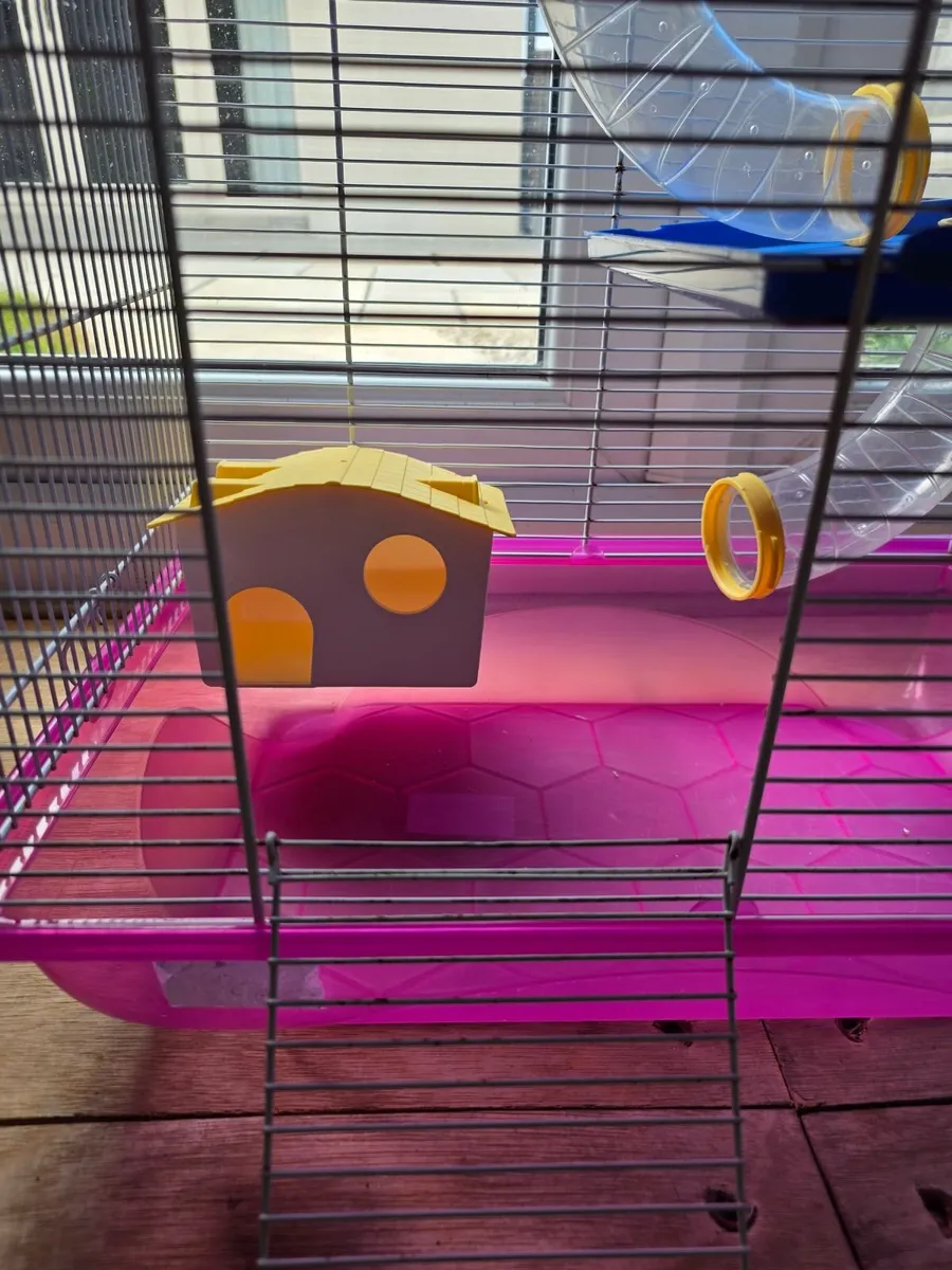 hamster cage - Image 4