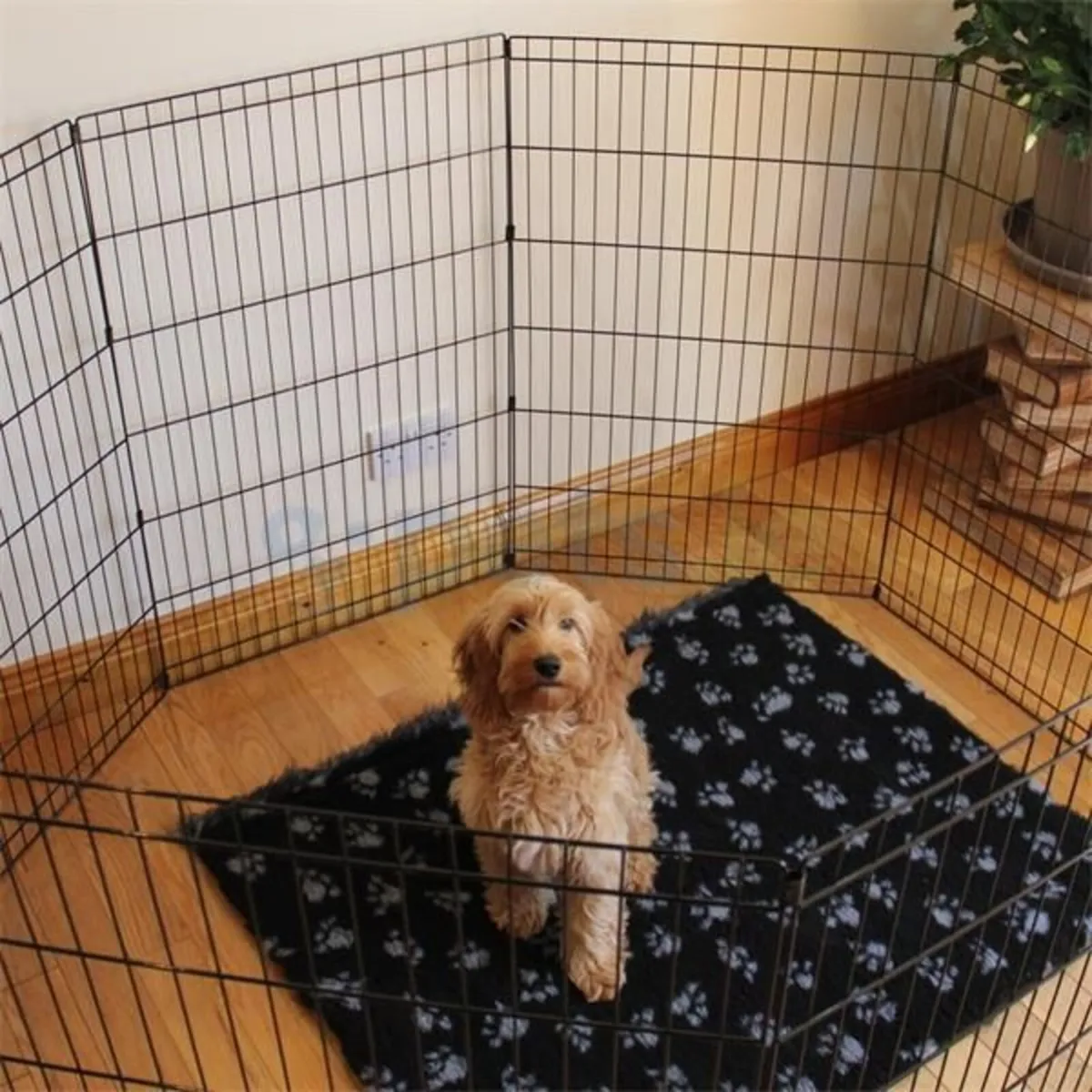 Puppy Pen Runs - Image 1