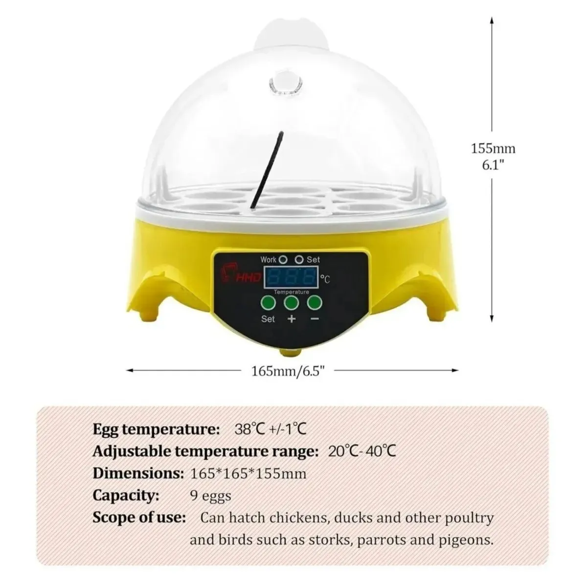 Egg Incubator 7 Egg Automatic Temperature Control - Image 4