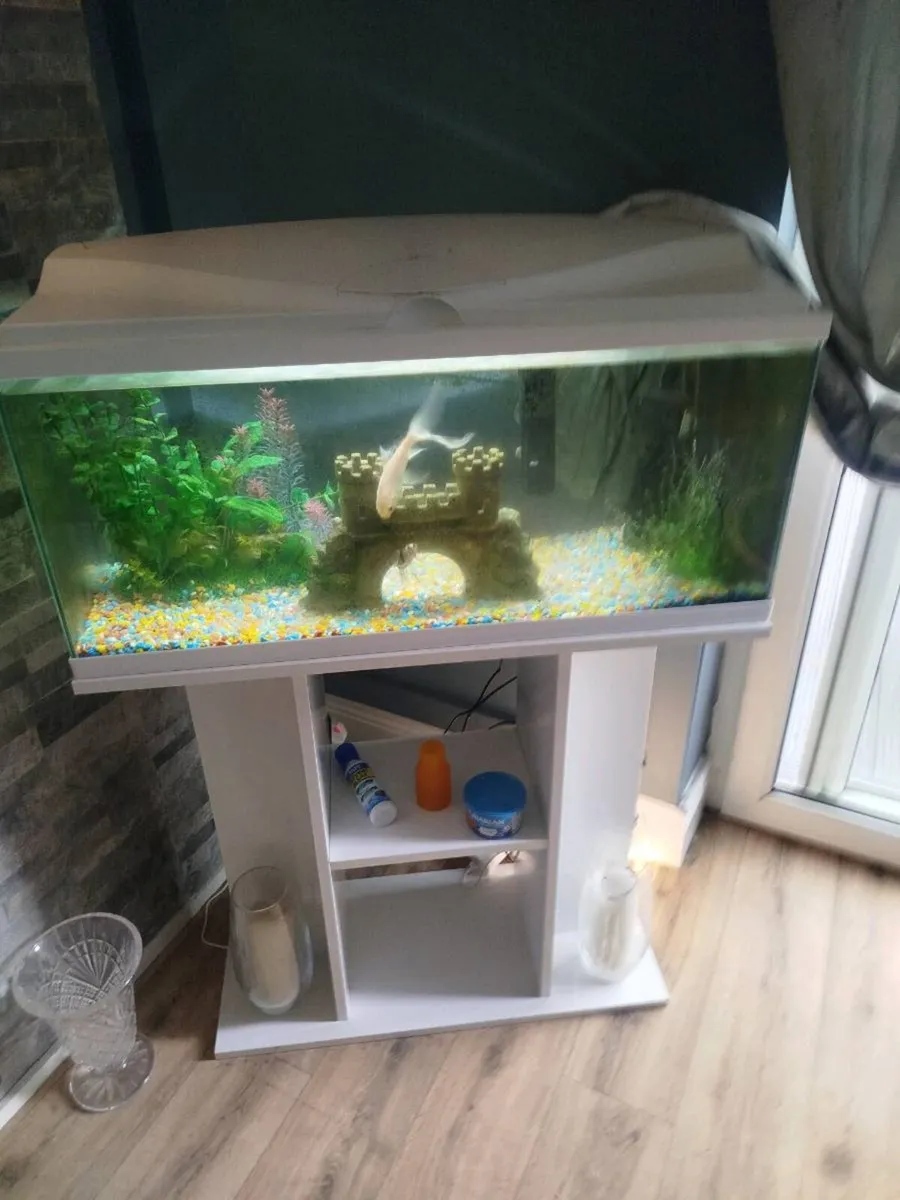 Fish tank and unit for sale - Image 1