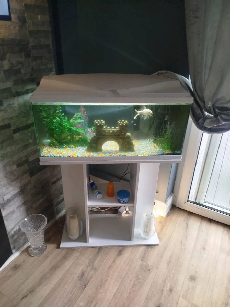 Fish tank and unit for sale - Image 2