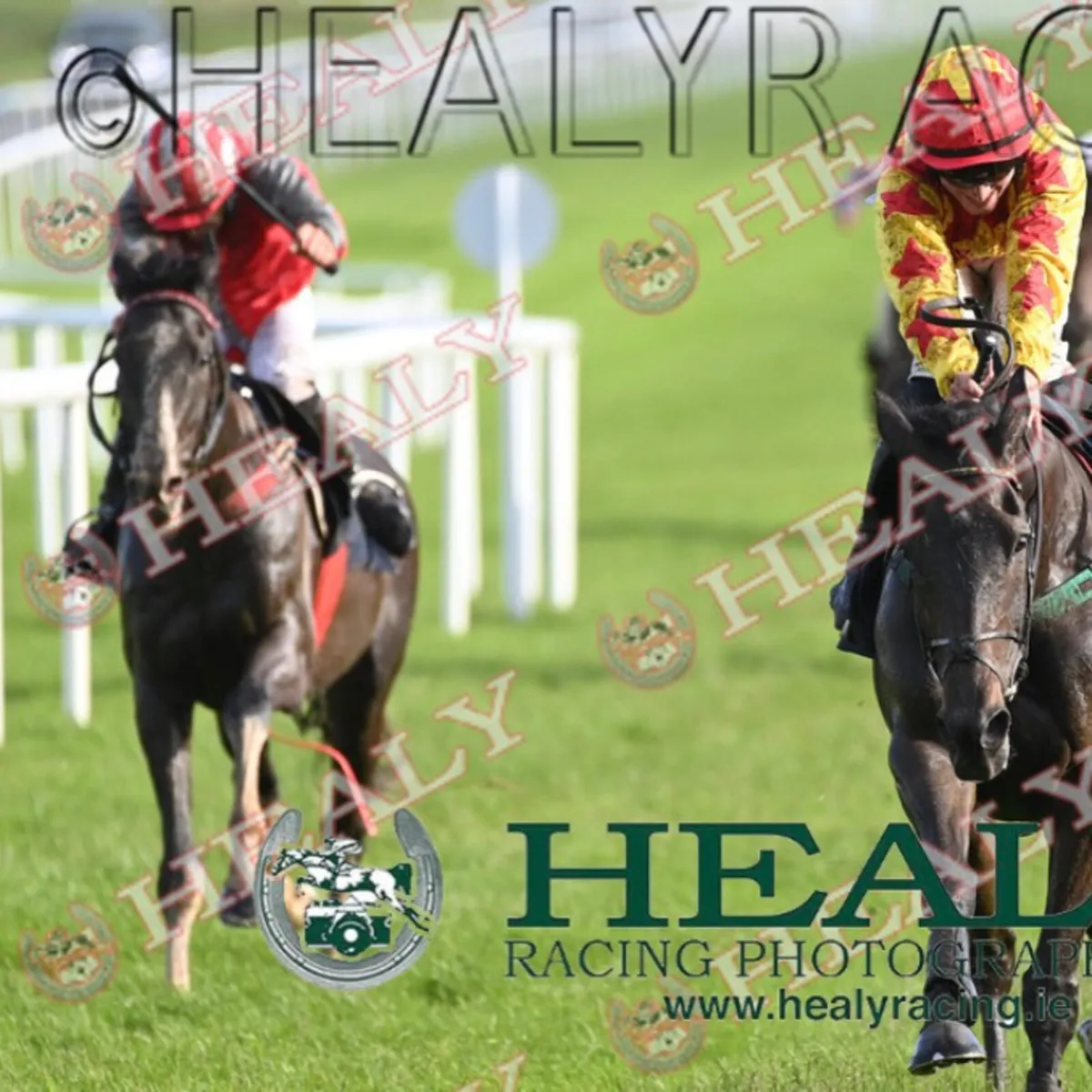 2 Time winning Racehorse , chaser and hurdler - Image 2