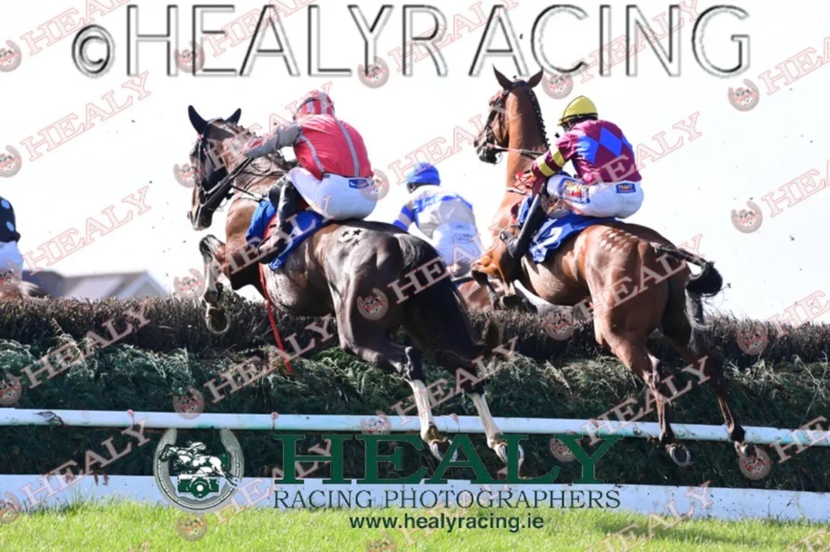 2 Time winning Racehorse , chaser and hurdler - Image 3