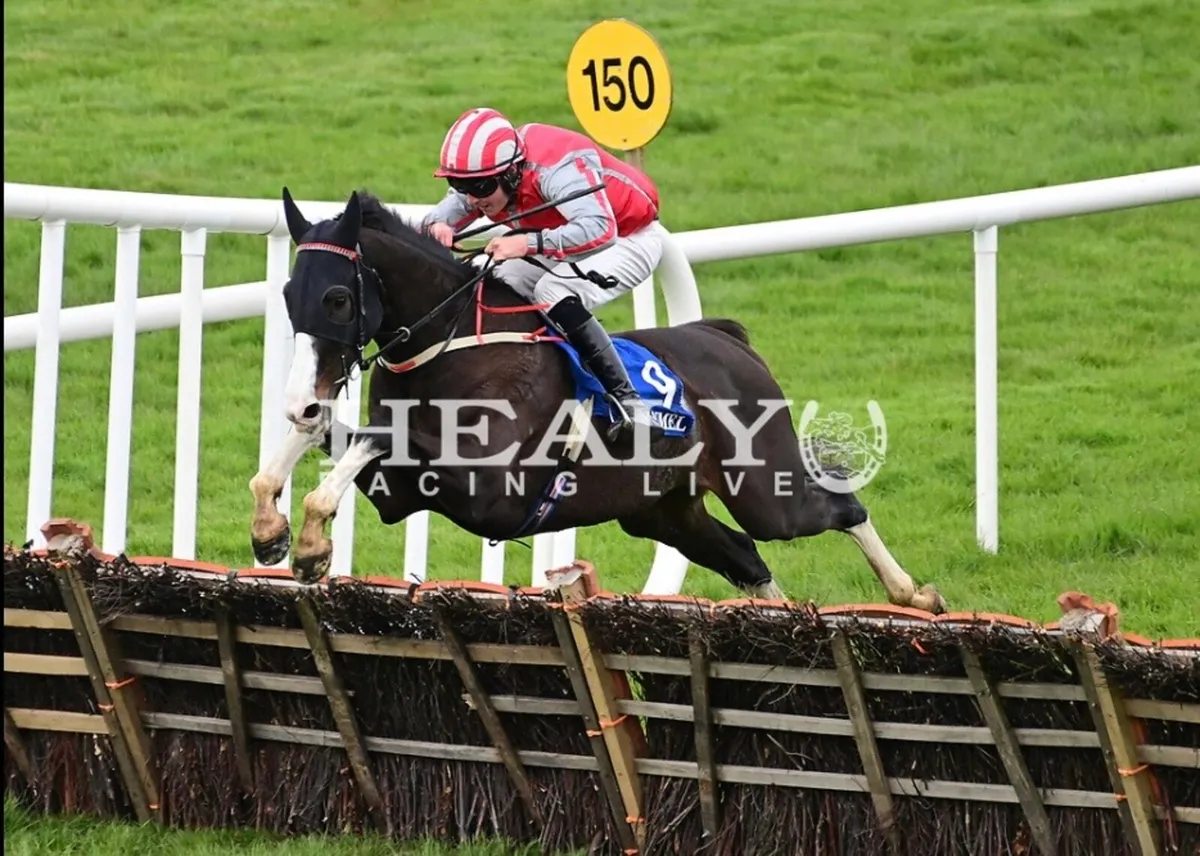 2 Time winning Racehorse , chaser and hurdler - Image 1