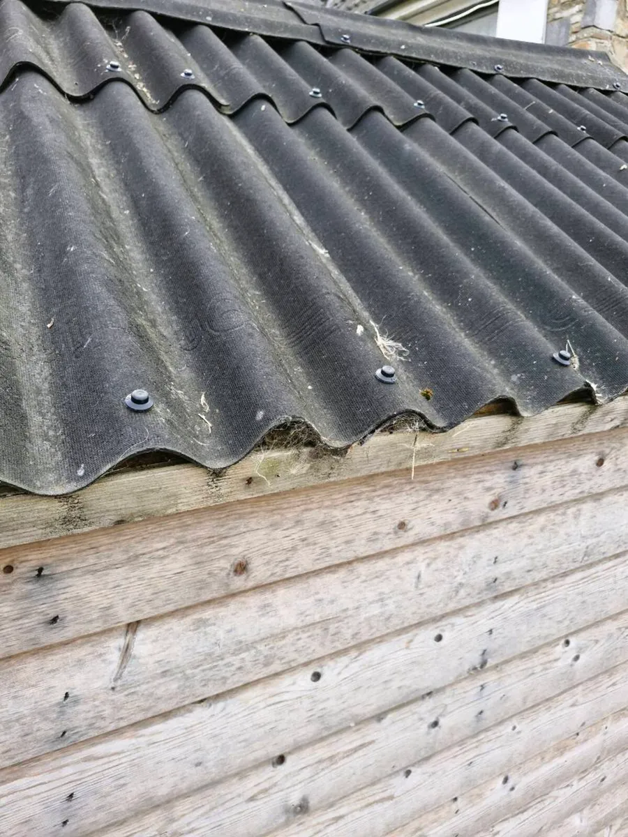 Garden shed - Image 3