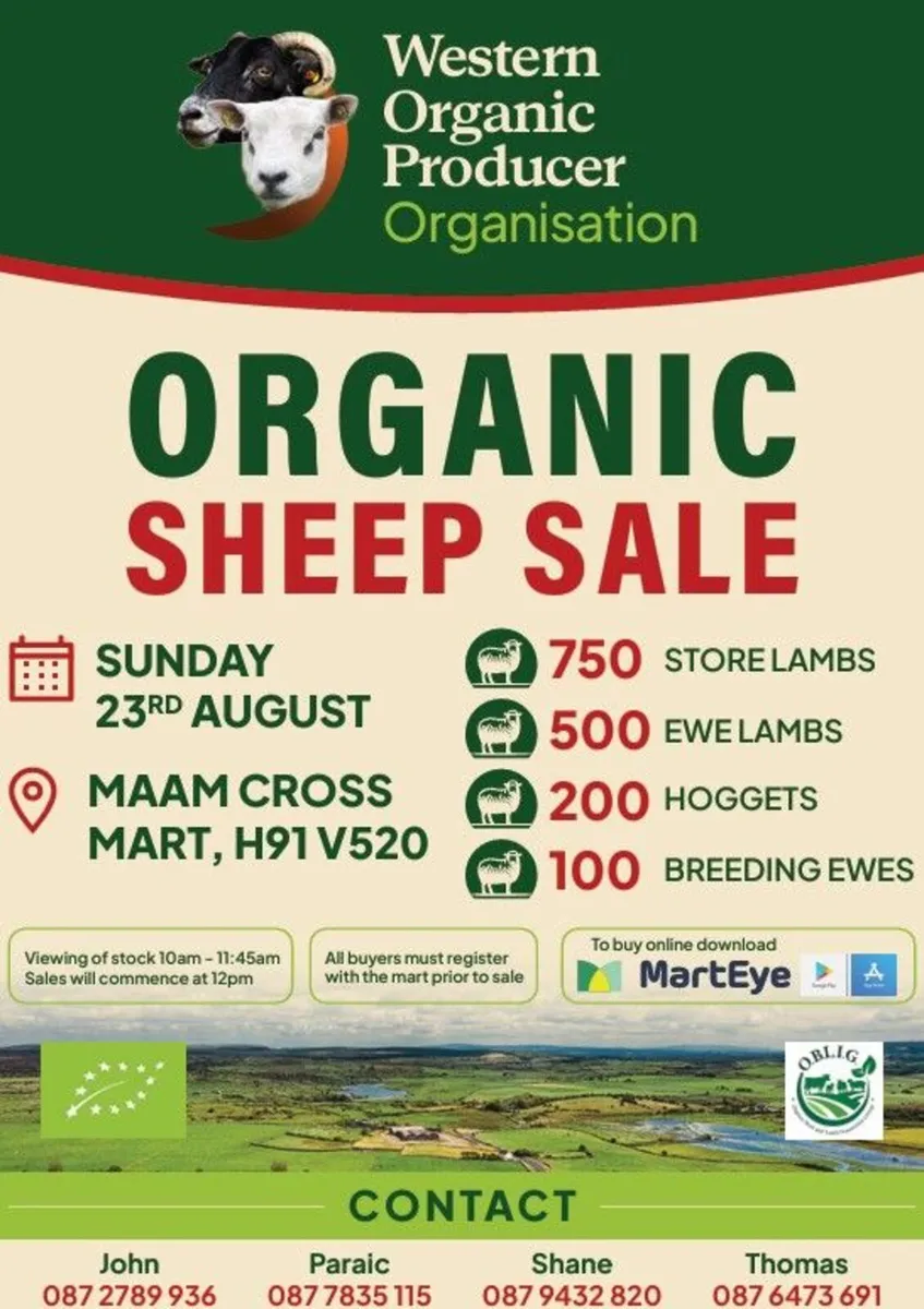 ORGANIC SHEEP SALE
