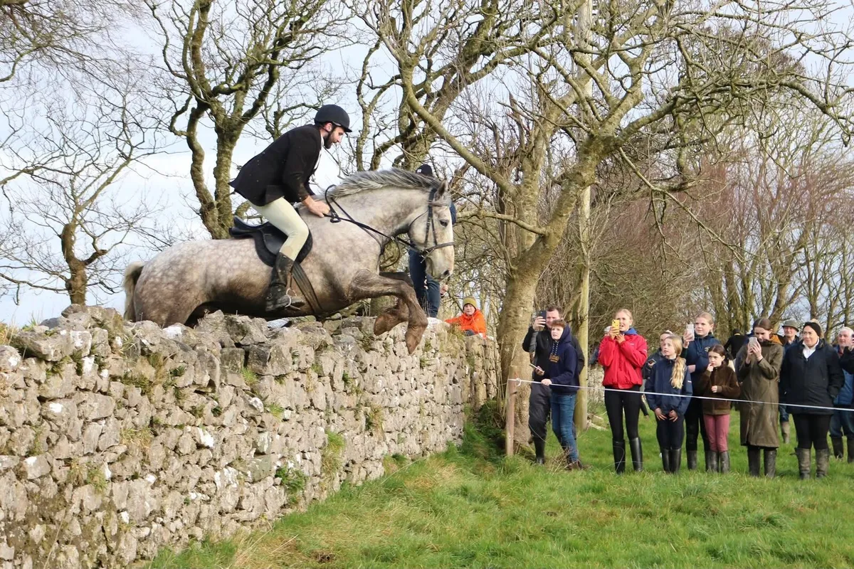 7yo full ID geldiing..3yrs hunting  has whipped in - Image 1