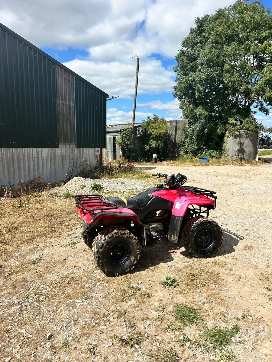 Honda 250 with diff problems - Image 3