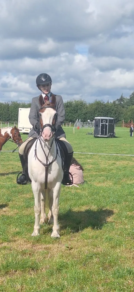 Competitive Pony - Image 2