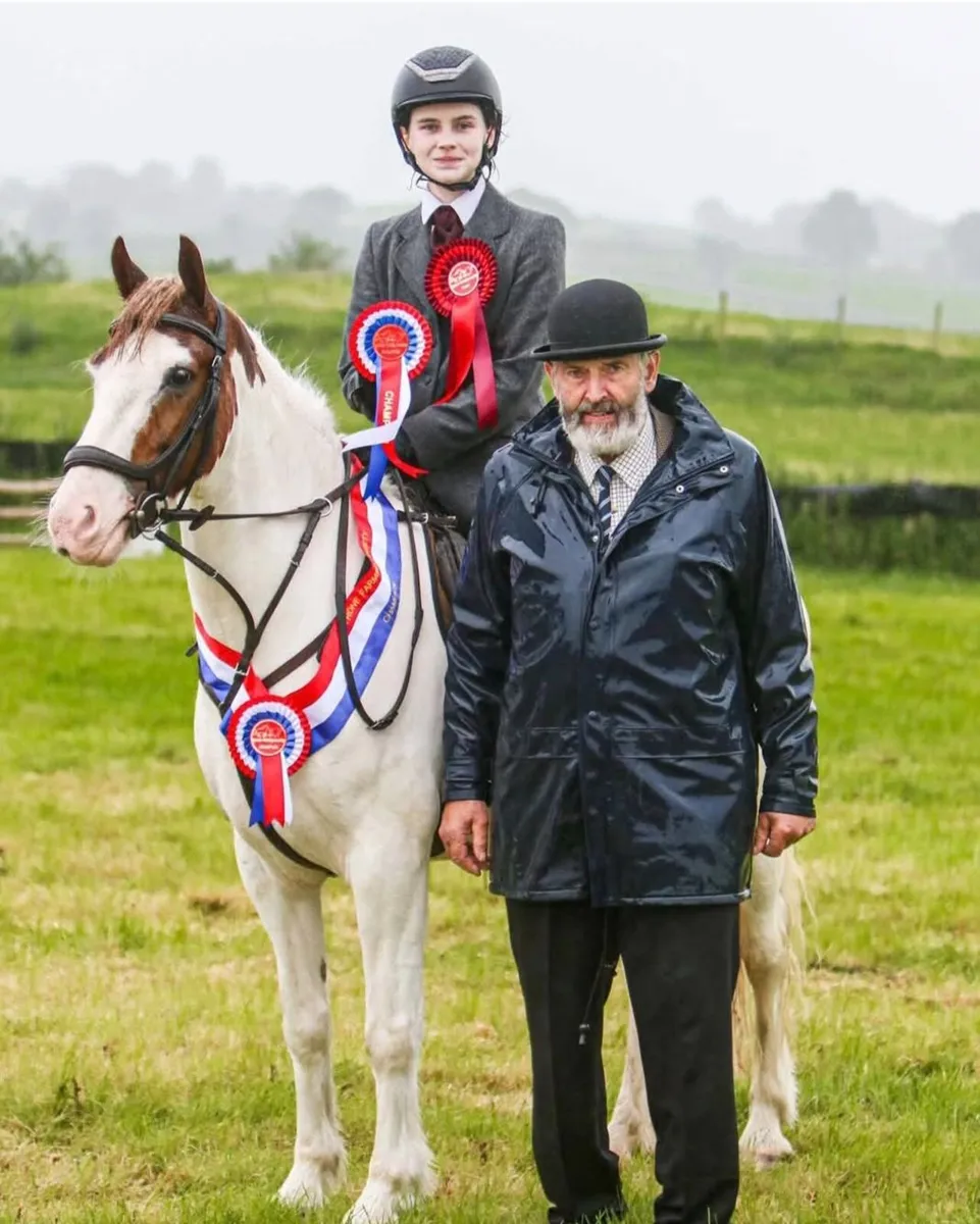 Competitive Pony - Image 1