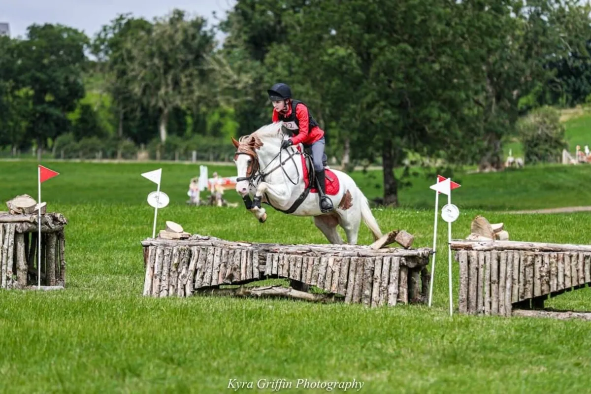 Competitive Pony - Image 3