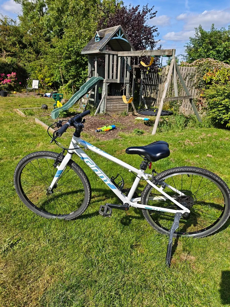Giant ARX mountain bike 24in frame - Image 1