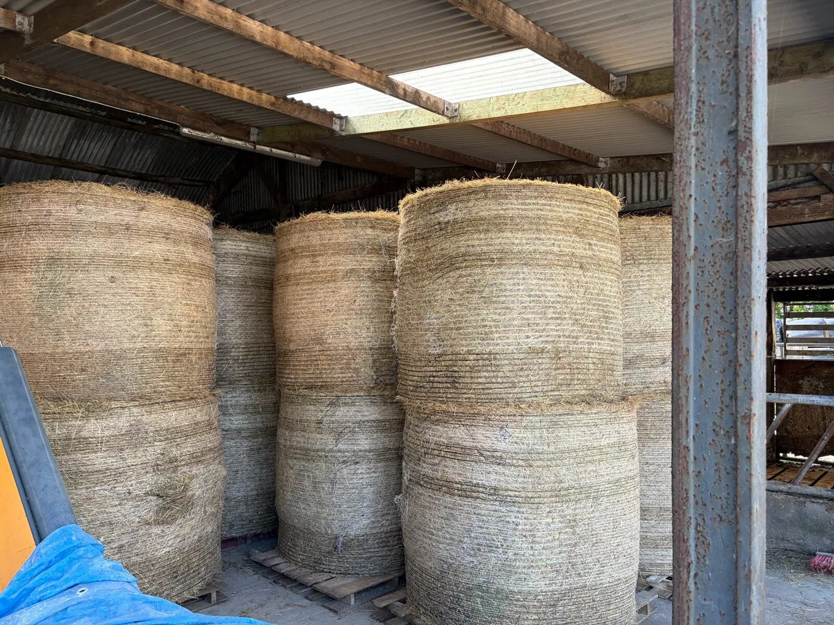 Round bales hay - Image 2