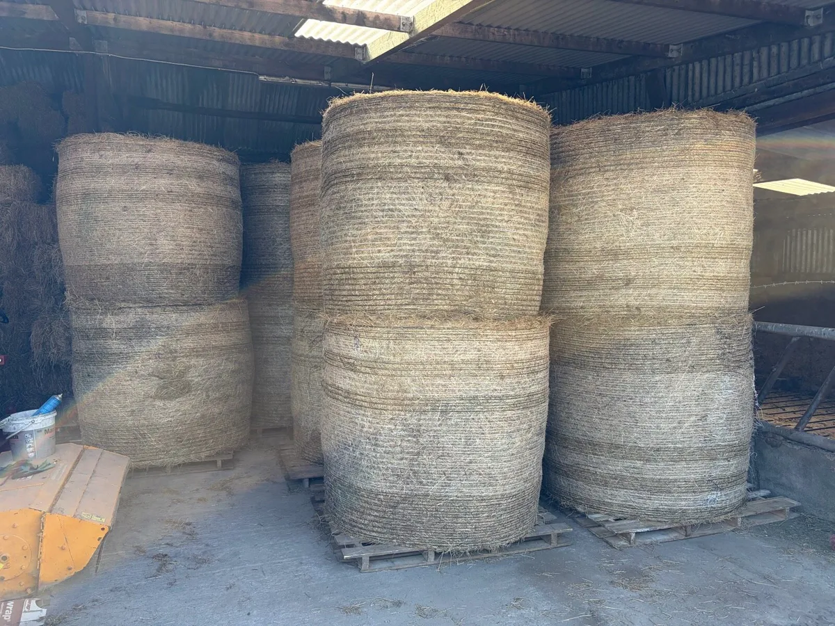 Round bales hay - Image 1