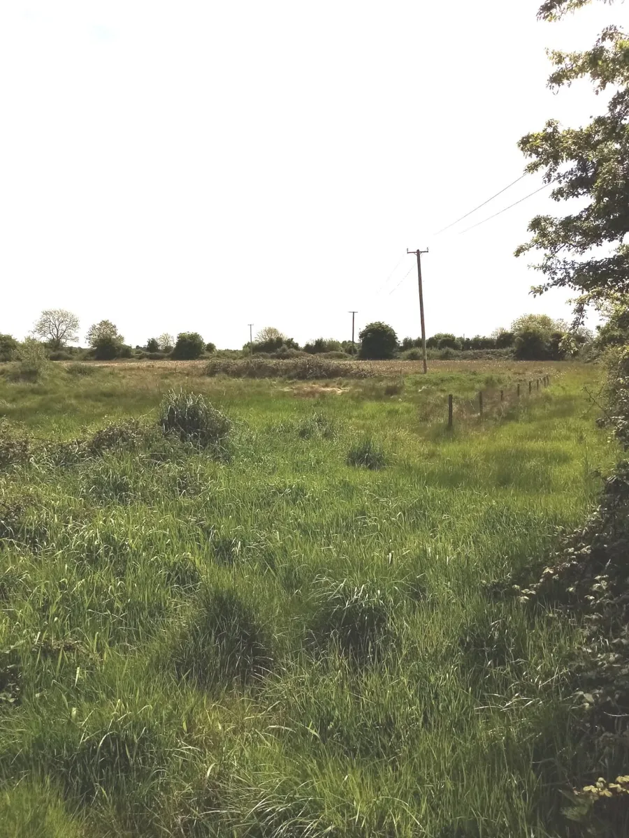 Land for sale - Image 3
