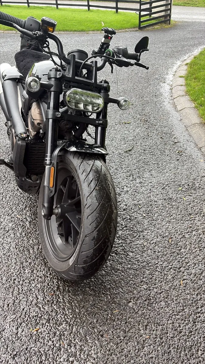 HARLEY DAVIDSON SPORTSTER 2021 - Image 1