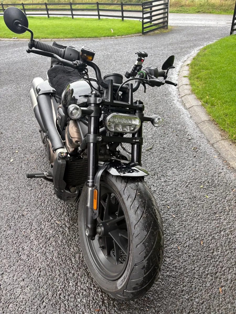 HARLEY DAVIDSON SPORTSTER 2021 - Image 2