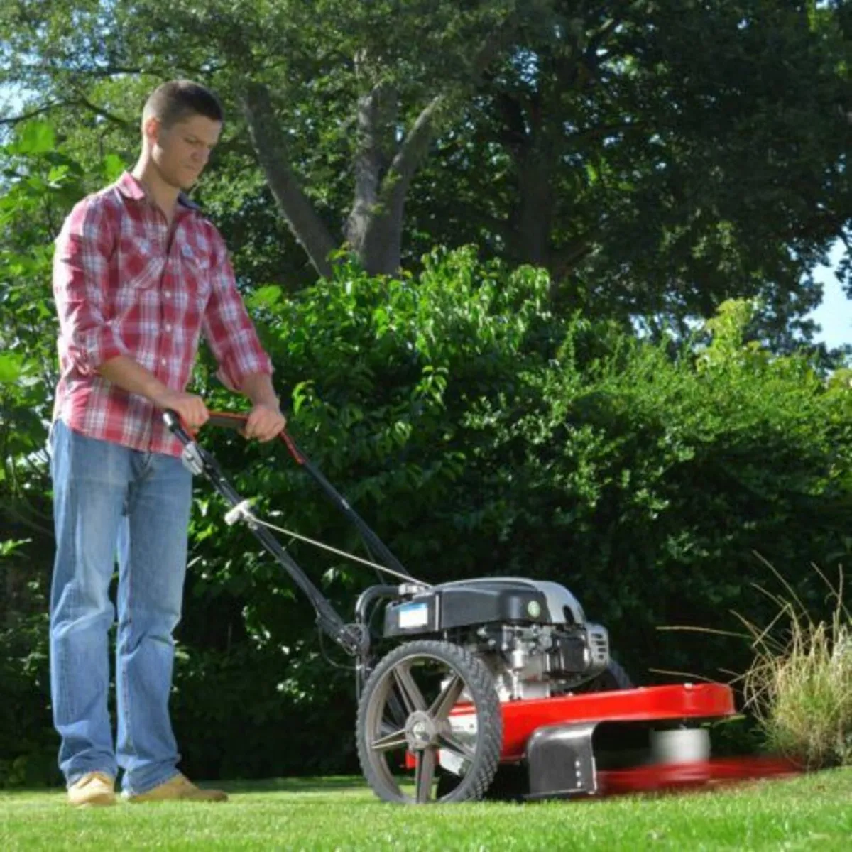 24" Self Propelled Wheeled Trimmer - Image 1