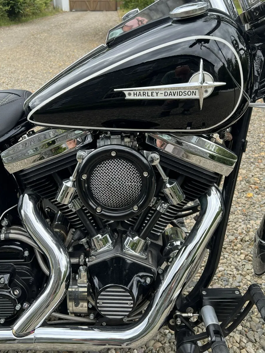 HARLEY DAVIDSON SPRINGER SORFTAIL  CUSTOM - Image 3