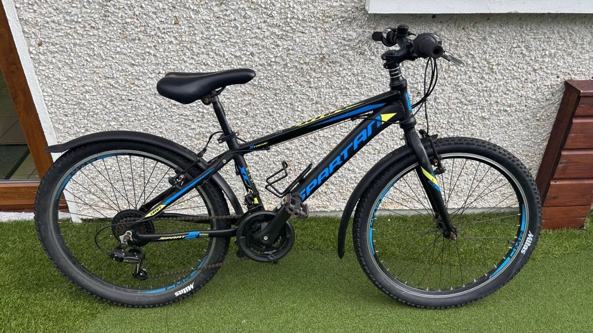 Mountain bike - Image 1