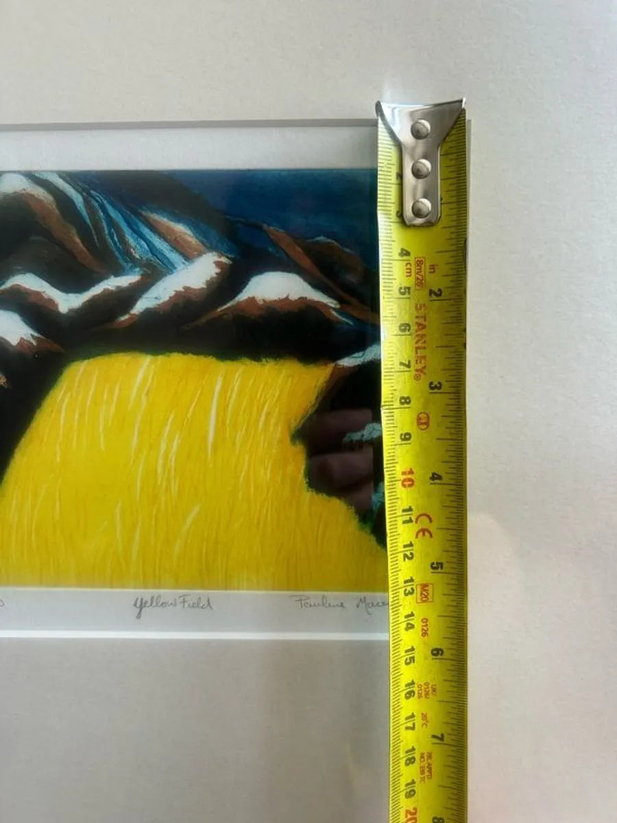 Irish Limited Edition Etching - Image 3