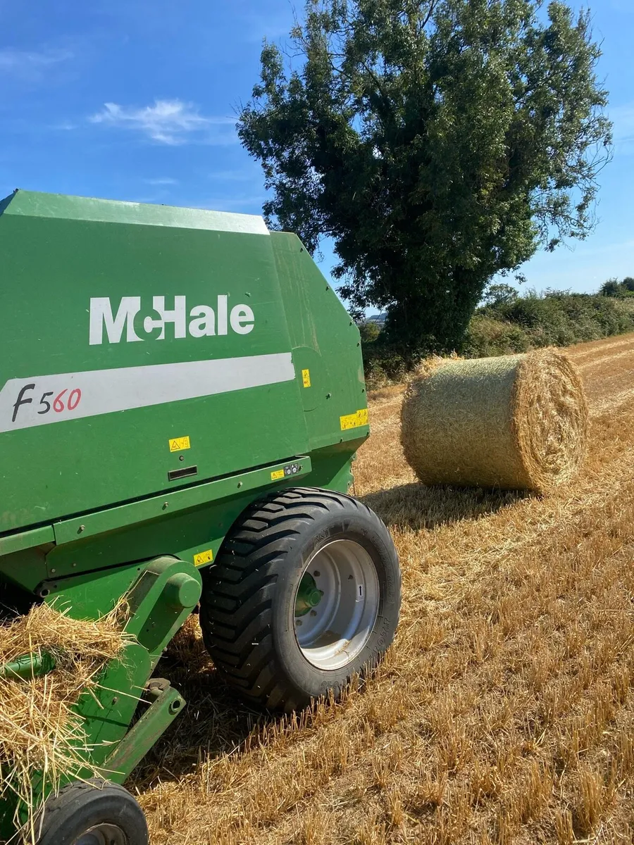 Spring barley straw 4x4 - Image 1