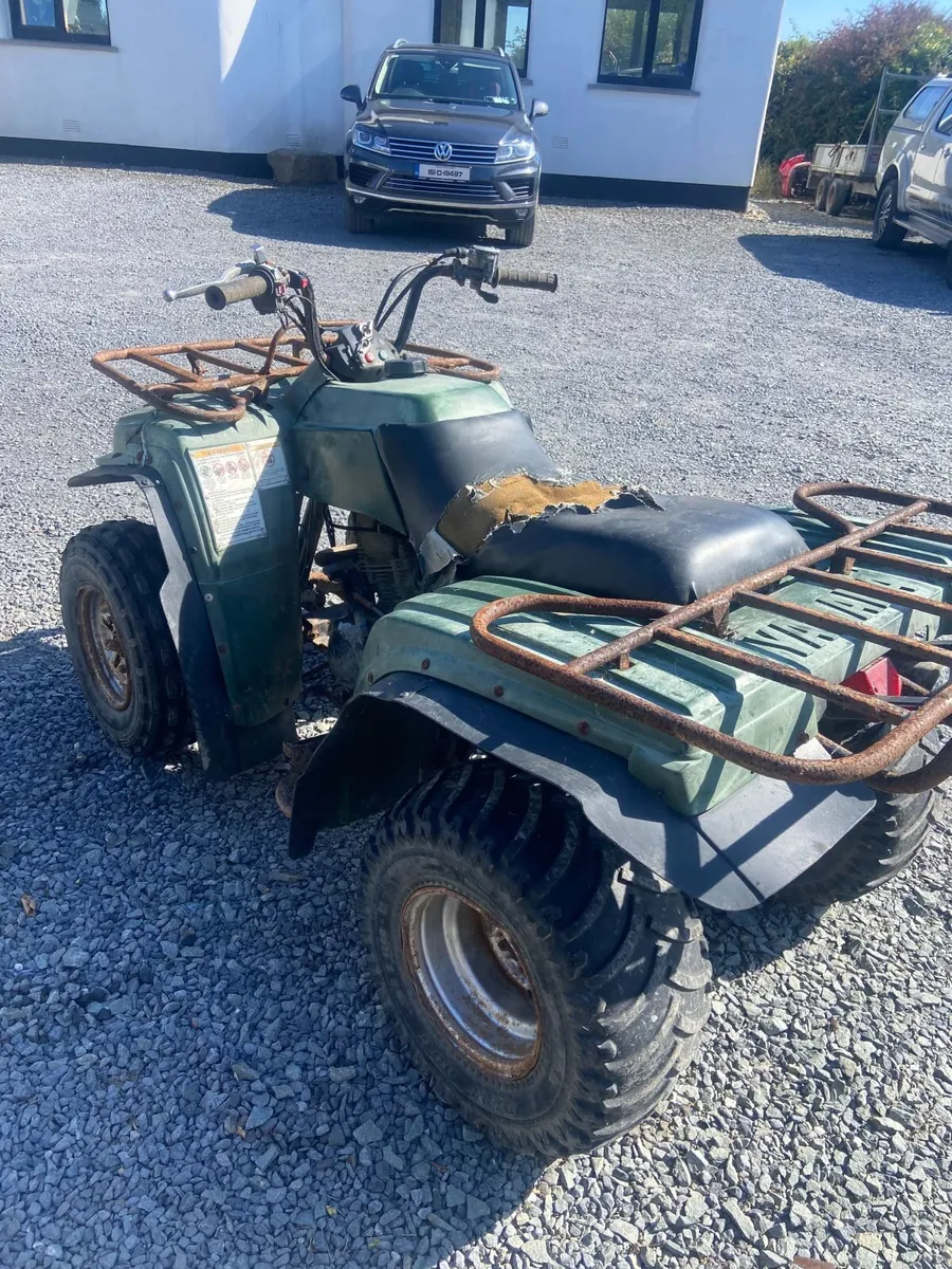 YAMAHA TIMBERWOLF 250 PROJECT !!! - Image 4