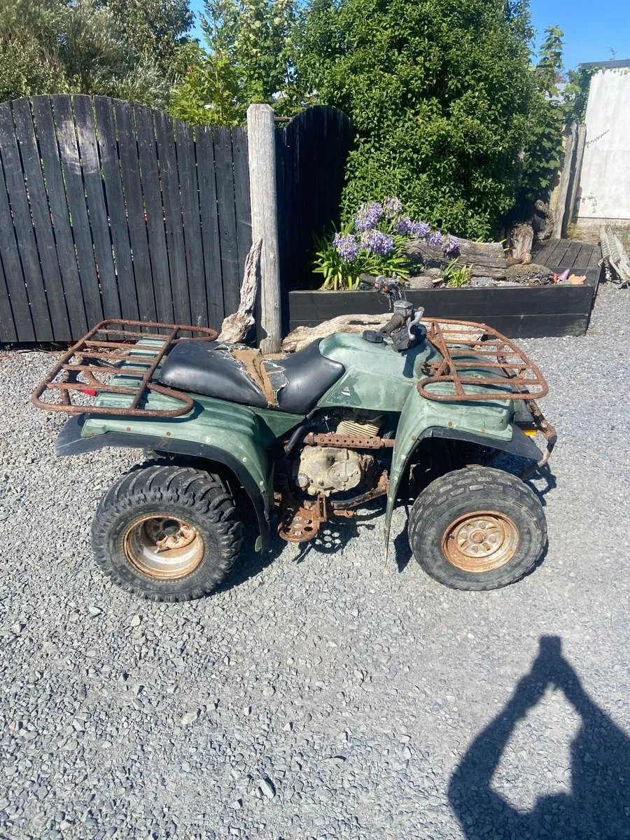 YAMAHA TIMBERWOLF 250 PROJECT !!! - Image 1
