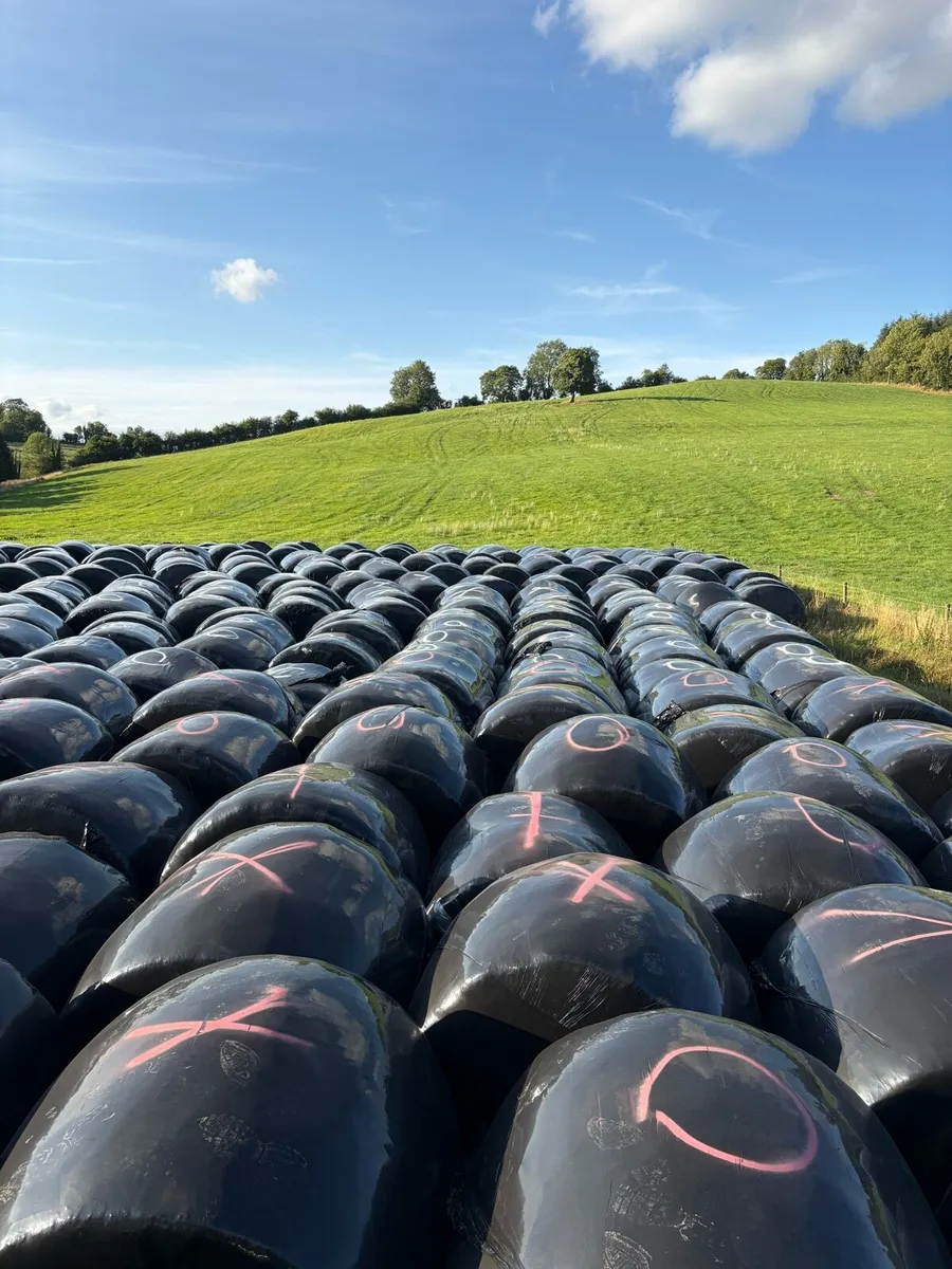 Bales - Image 1