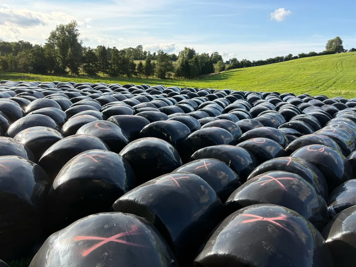 Bales - Image 2
