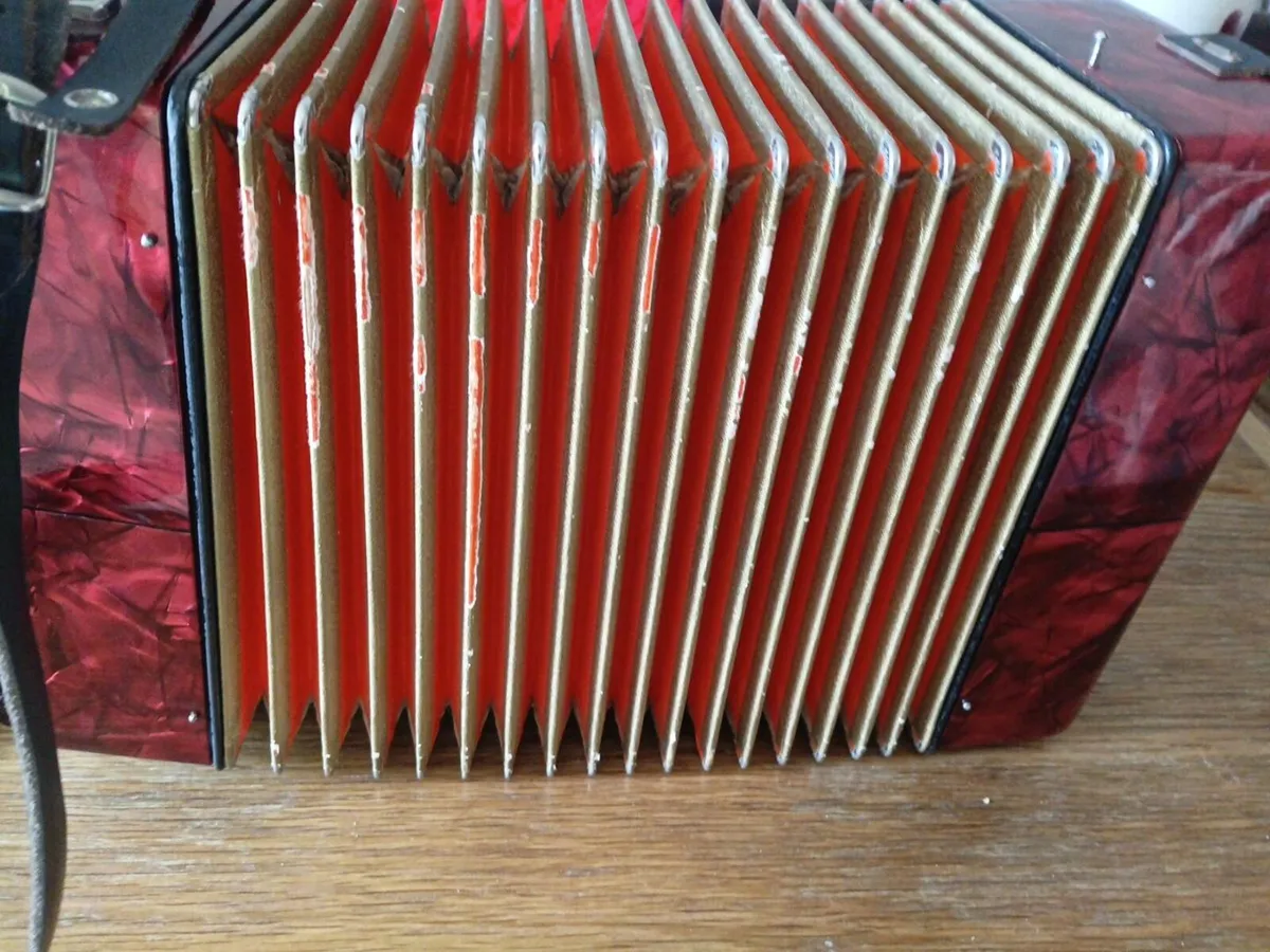 Hohner black dot double ray accorfion - Image 3